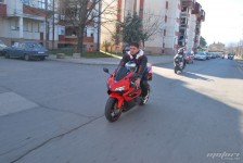 retki_ptici-75