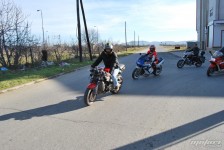 retki_ptici-80