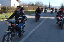 retki_ptici-82