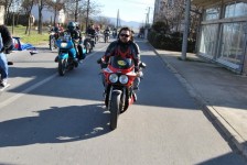 retki_ptici-83