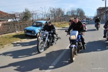 retki_ptici-84